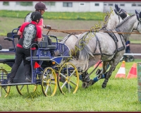 2POSIEUX 0513